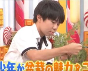 盆栽少年の東山拓仁(ひがしやまたくと)は何者?盆栽大会?師匠や作品、家族を調査!【マツコの知らない世界】