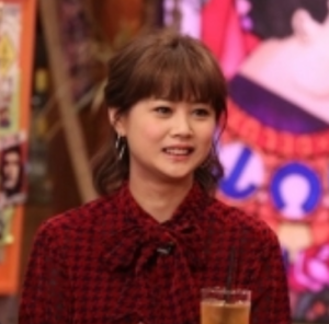 新垣里沙の離婚理由や子供と性格を調査!昔の画像と伝説とは?【アウトデラックス】